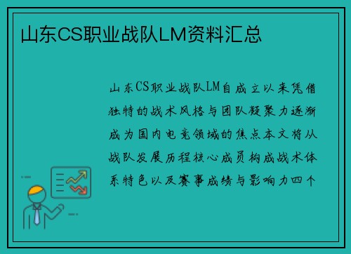 山东CS职业战队LM资料汇总