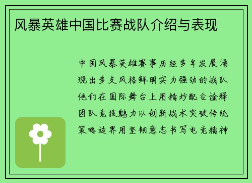 风暴英雄中国比赛战队介绍与表现